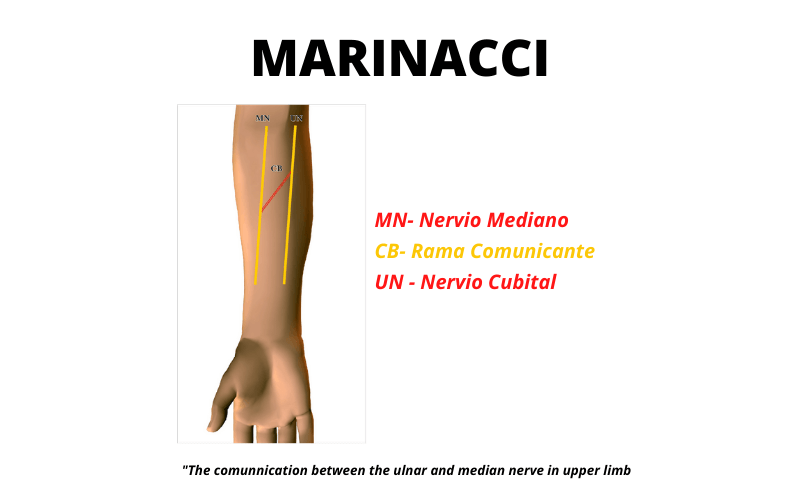 Marinacci.png